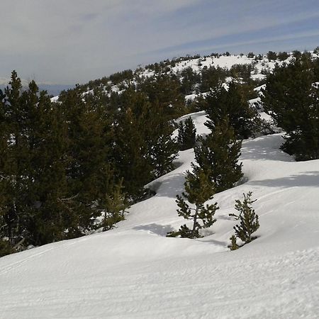 Apartment Face Aux Pistes غريولييه ليه نييج المظهر الخارجي الصورة