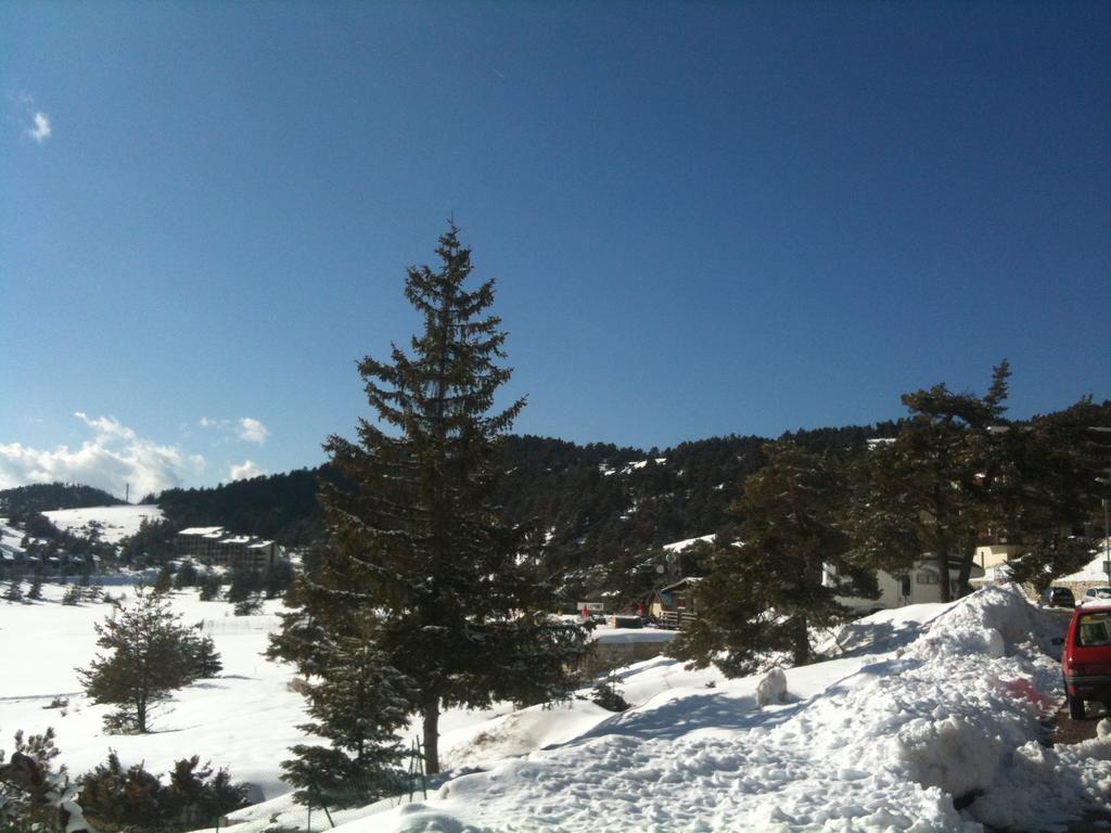 Apartment Face Aux Pistes غريولييه ليه نييج المظهر الخارجي الصورة