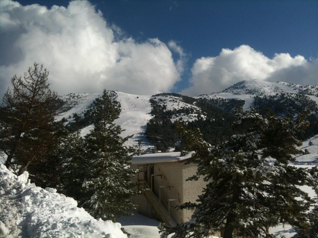 Apartment Face Aux Pistes غريولييه ليه نييج المظهر الخارجي الصورة