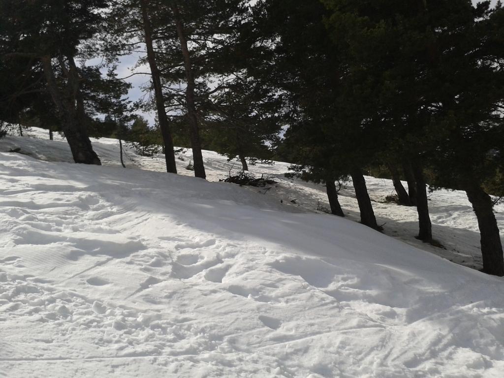 Apartment Face Aux Pistes غريولييه ليه نييج المظهر الخارجي الصورة