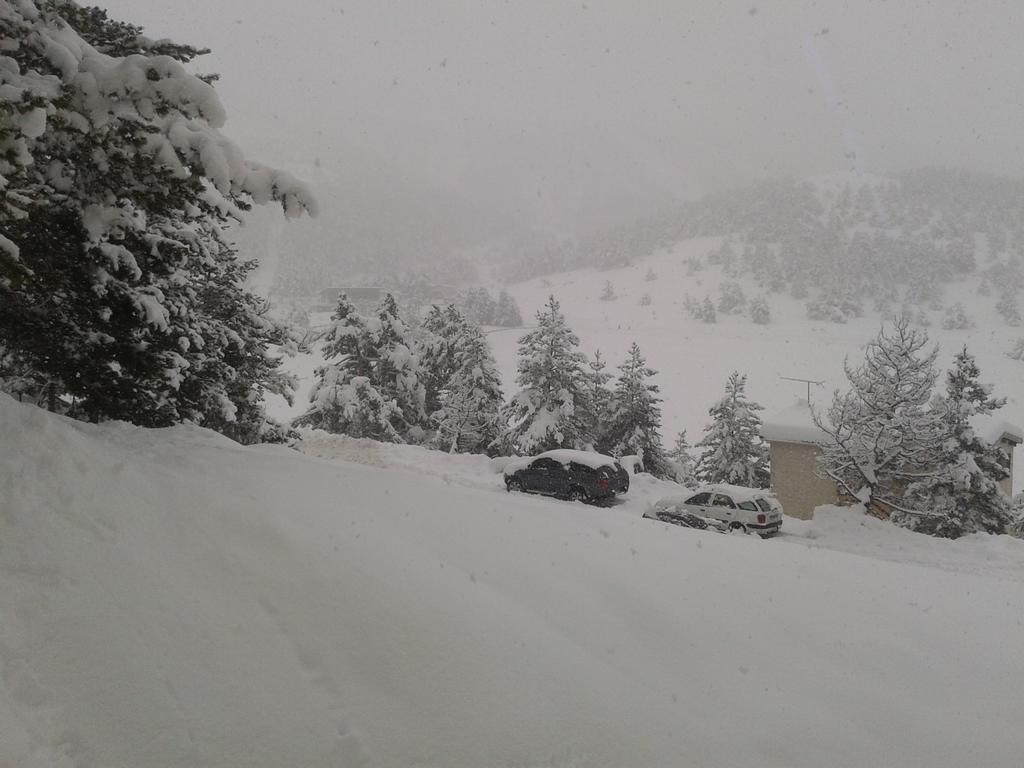 Apartment Face Aux Pistes غريولييه ليه نييج المظهر الخارجي الصورة